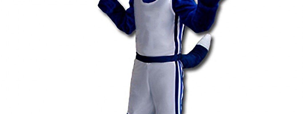 Top 10 Places to Buy Chipmunk Mascot Costumes Online