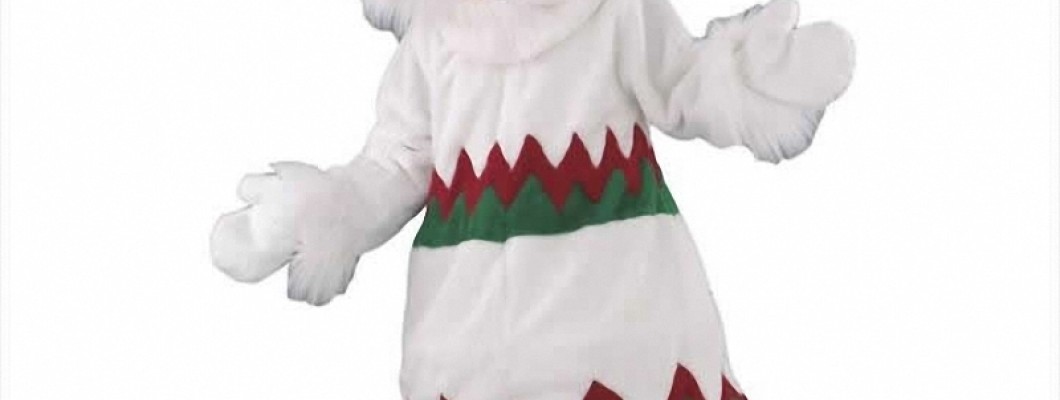 Behind the Scenes: The Making of a Professional Animal Mascot Costume
