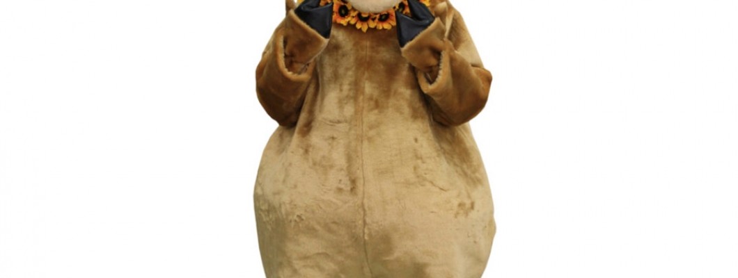 How Non-Profits Can Benefit from Custom Mascot Costumes