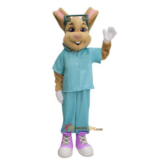 Fair Dr Rabbit Mascot Costume Cosplay