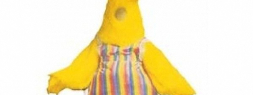 The Ultimate Guide to Squirrel Mascot Costume Maintenance