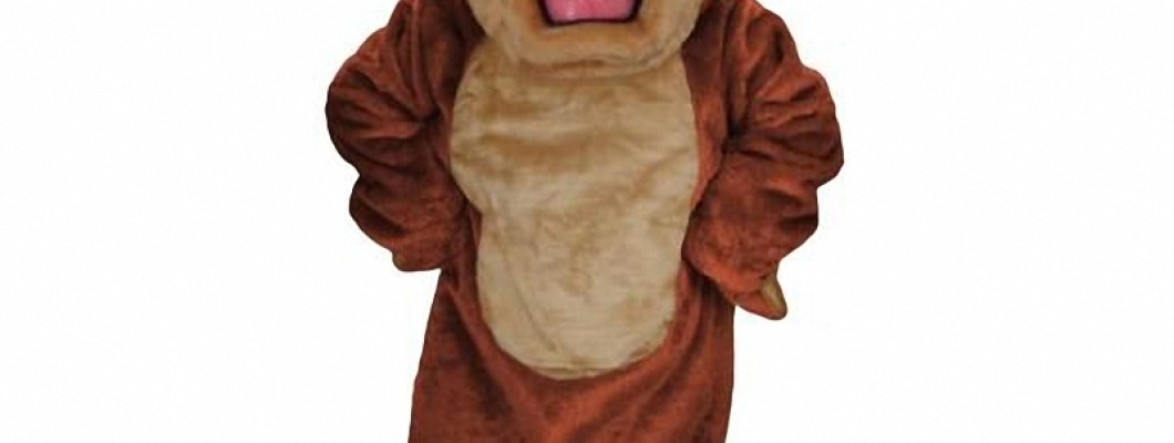 Why Invest in a Custom Mascot Costume