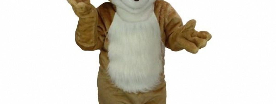 Interview with a Professional Mascot: Insights on Wearing a Lion Costume