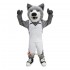 Ferocious Coyote Mascot Costume Cosplay