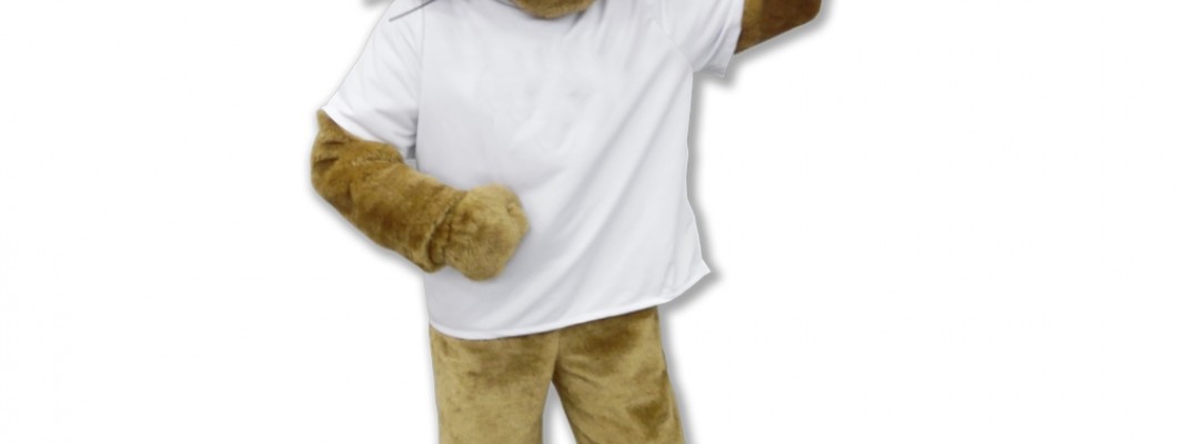 From Sketch to Reality: The Creative Process of Designing Raccoon Mascot Costumes