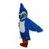 Fierce Blue Jay Mascot Costume Cosplay
