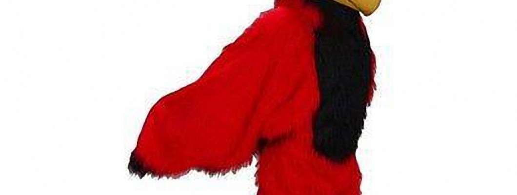 Economical Mascot Costumes for Community Groups