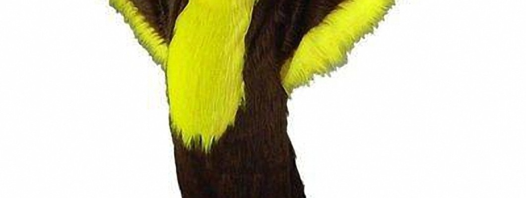 Why Every Sports Team Needs a Great Mascot Costume