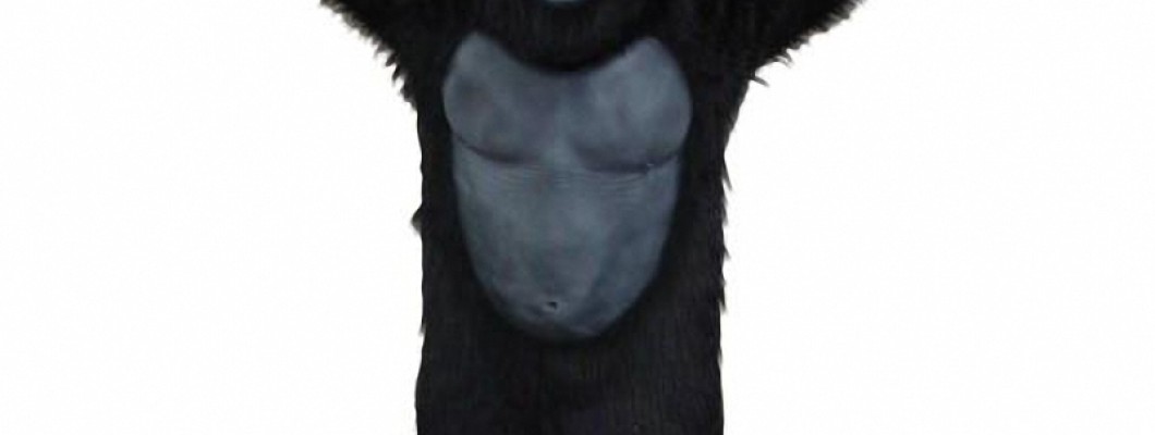 Interview with a Professional Mascot: Insights on Tiger Mascot Costumes