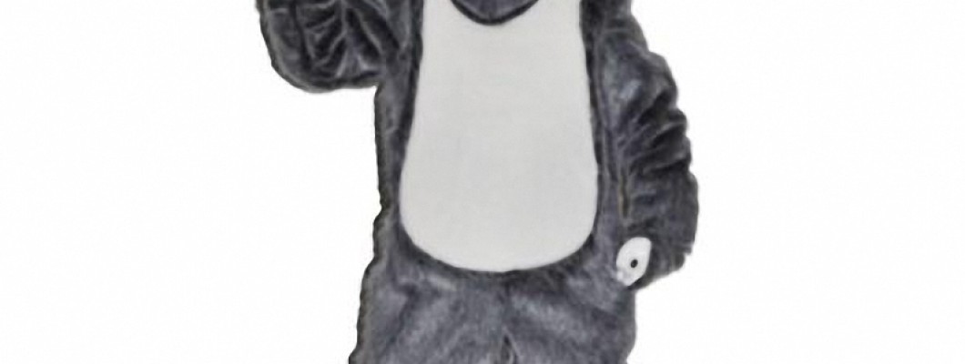 Best Places to Buy Cheap Mascot Costumes