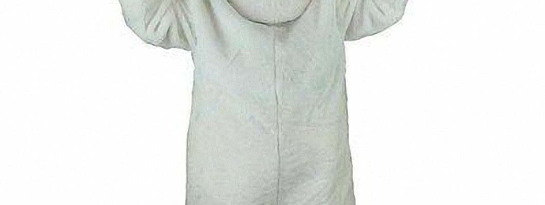 Customizing Your Lion Mascot Costume: Tips and Tricks