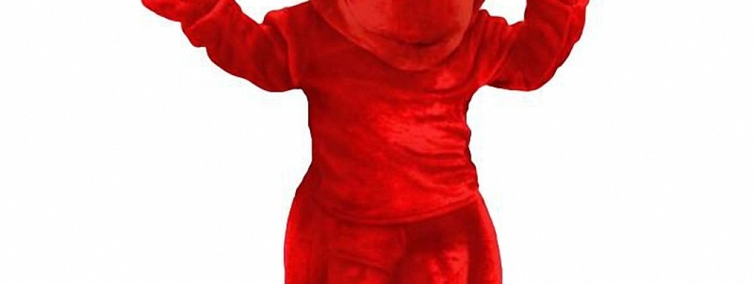 Where to Buy Affordable Squirrel Mascot Costumes Online
