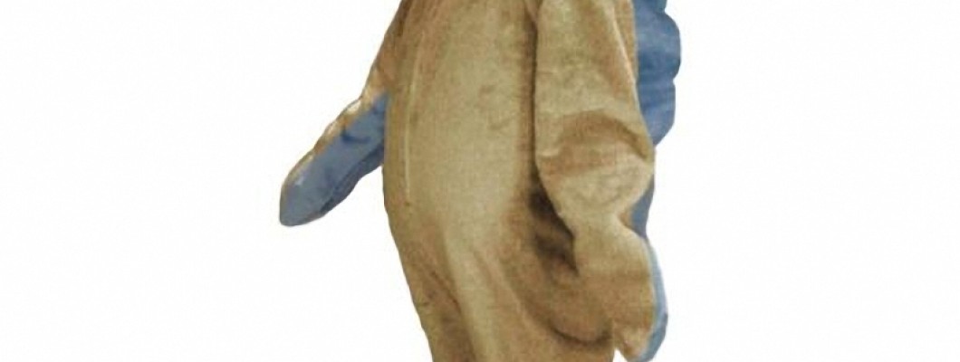 Best Online Stores for Leopard Mascot Costumes