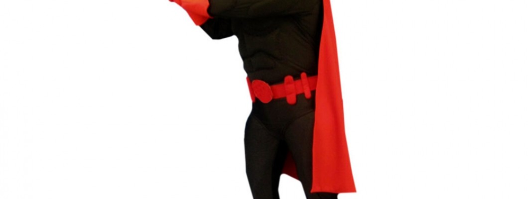 From Concept to Creation: The Process of Making a Wolf Mascot Costume