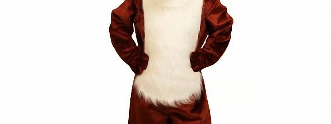 The Art of Performing in a Bird Mascot Costume