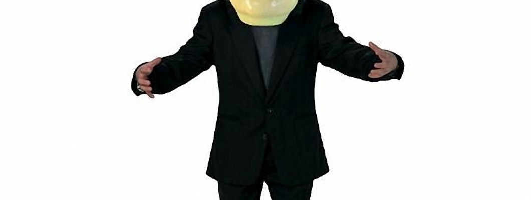 Famous Brands That Offer Lion Mascot Costumes