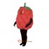 Fresh Raspberry (Bodysuit not included) Mascot Costume Cosplay
