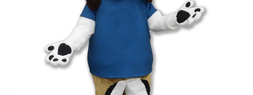 Affordable Mascot Costumes for Small Businesses