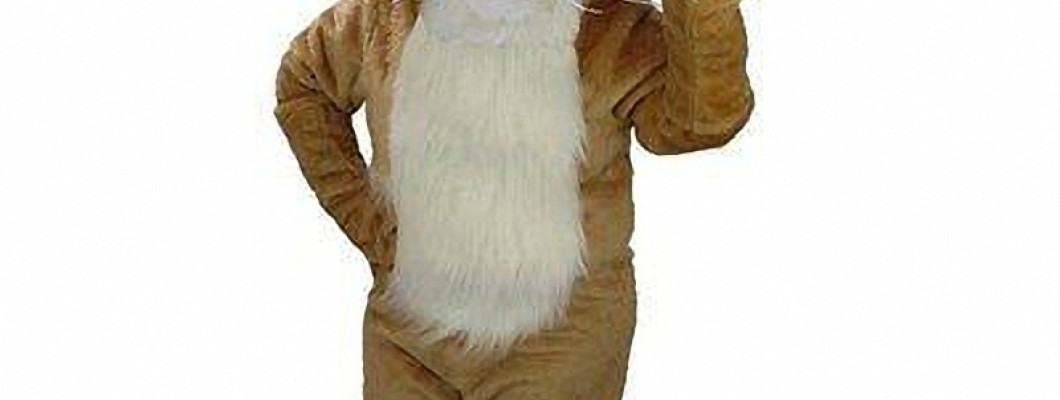 From Concept to Reality: Crafting the Perfect Bird Mascot Costume