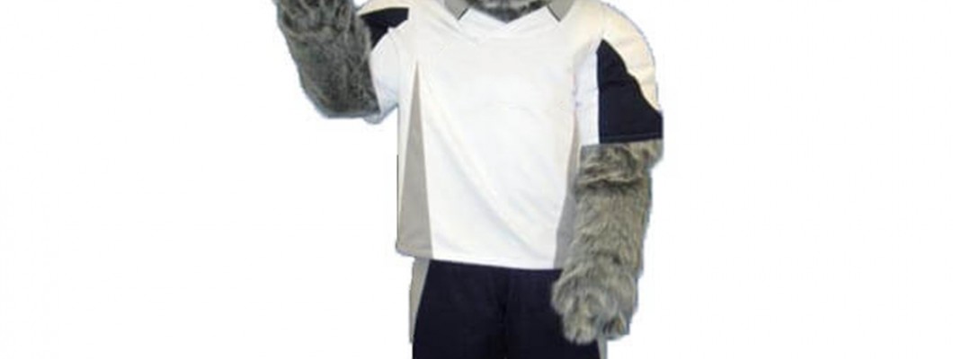 Walking Sticks and Woven Nests: Nature-Inspired Mascot Costume Ideas