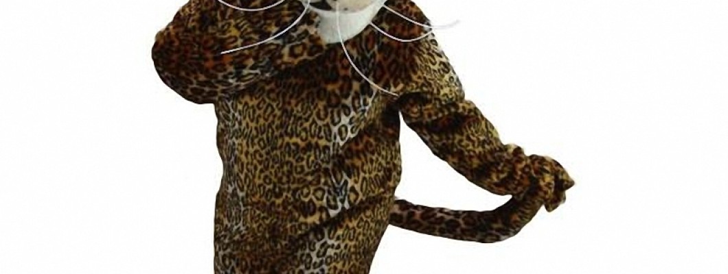 Best Cat Mascot Costumes for Fundraising Events
