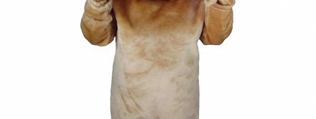 Budget-Friendly Dog Mascot Costumes