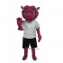 Friendly Lovely Dragon Mascot Costume Cosplay