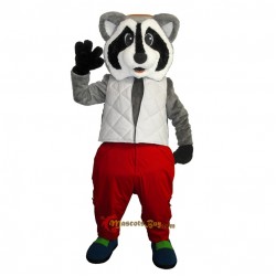 Friendly Raccoon Mascot Costume Cosplay