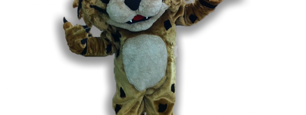From Forest Floor to Fashion Runway: Trendsetting Squirrel Mascot Costumes