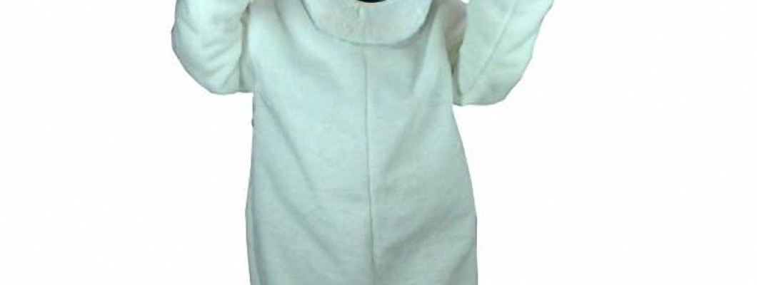 Bird Mascot Costumes: Adding Flair to Any Event