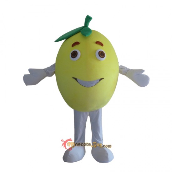 Fruit Grapefruit Mascot Costume Cosplay
