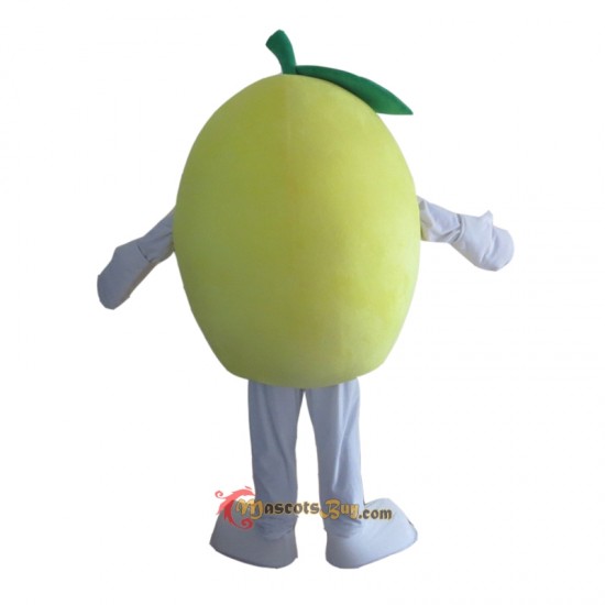 Fruit Grapefruit Mascot Costume Cosplay