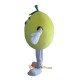 Fruit Grapefruit Mascot Costume Cosplay