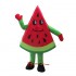 Fruit Watermelon Mascot Costume Cosplay