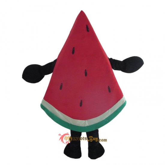 Fruit Watermelon Mascot Costume Cosplay