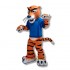 Funny Tiger Mascot Costume Cosplay