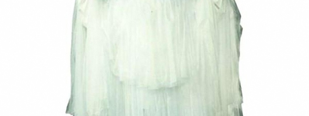 Top Trends in Dog Mascot Costumes for 2024