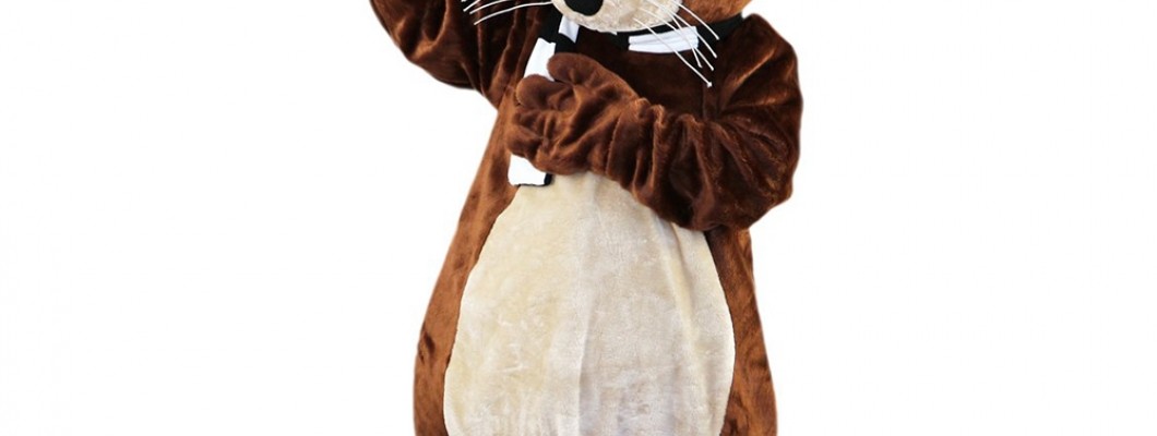 How to Write a Persuasive Essay on the Importance of School Mascot Costumes