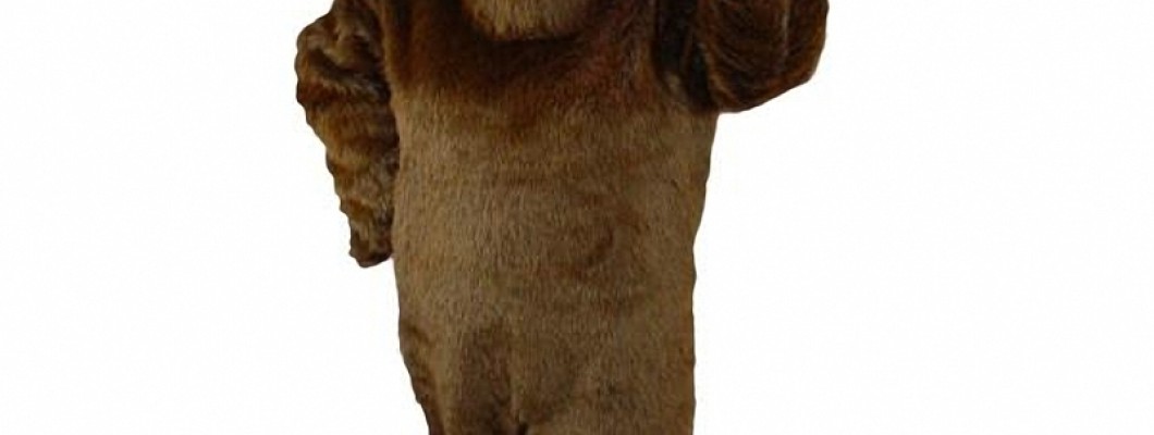 Custom-Made Dog Mascot Costumes: Where to Order