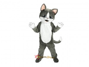 How to Organize a School Mascot Costume Contest
