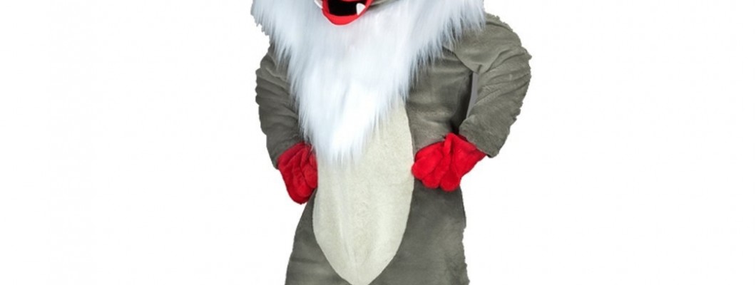 Top 10 People Mascot Costumes for Every Occasion