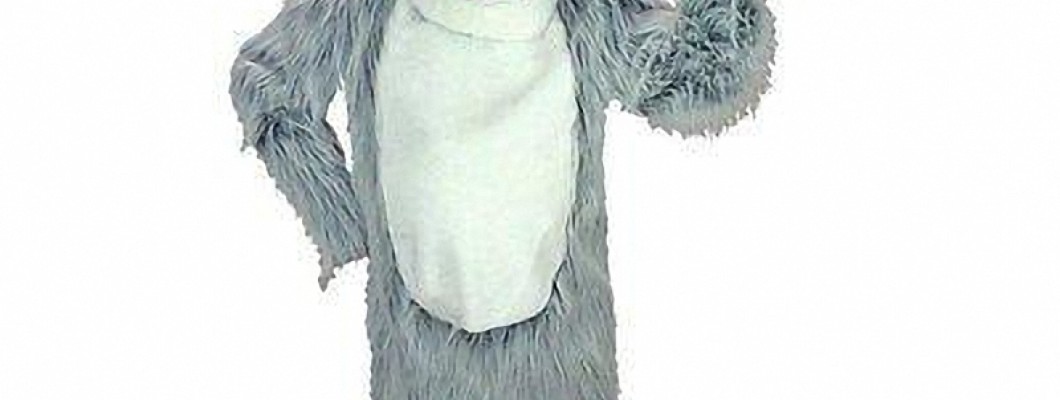 The Psychology Behind Bird Mascot Costumes