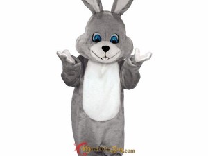 The Evolution of Wolf Mascot Costumes in Sports