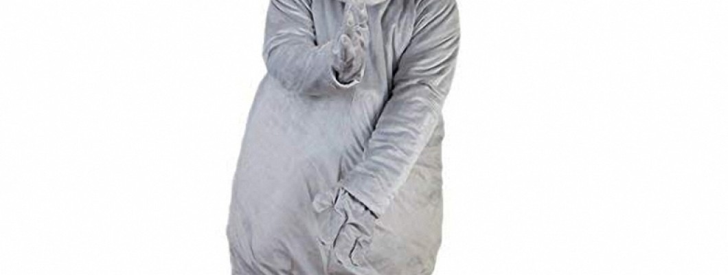 Real-Life Experiences: People Share Their Chicken Mascot Costume Stories
