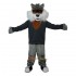 Grey Wildcat Stray Cat Hare Racoon Mascot Costume Cosplay