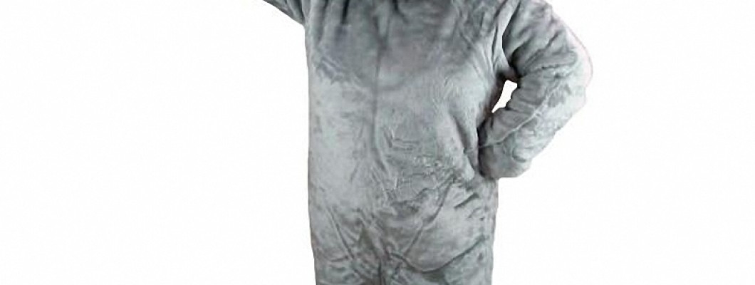 Stylish Dog Mascot Costumes for Special Occasions