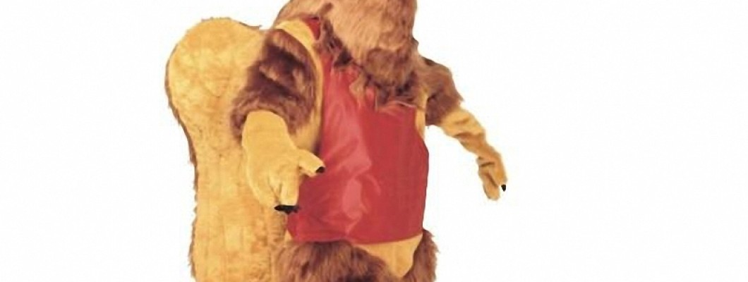 Creative Dog Mascot Costume Ideas for Large Dogs