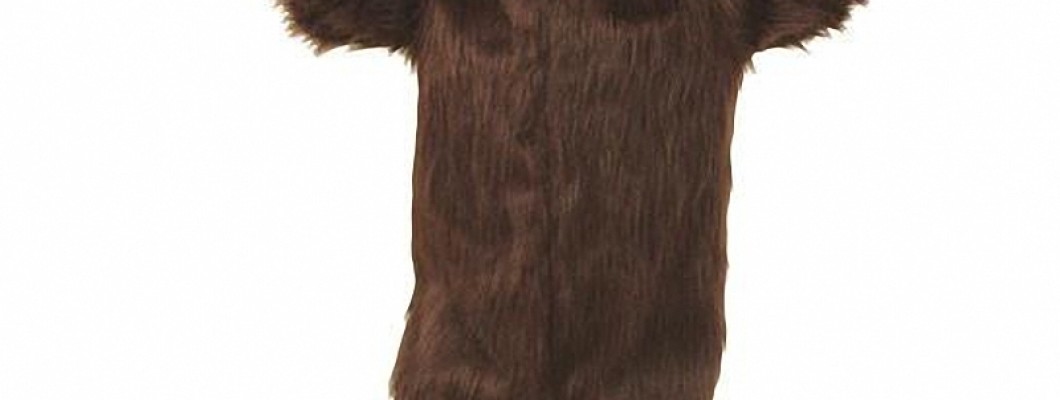 How to Choose the Perfect Dog Mascot Costume