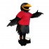 Handsome Raven Mascot Costume Cosplay
