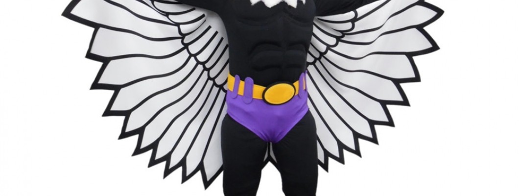 Comparing Pig Mascot Costumes from Different Suppliers